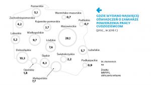 Gdzie wydano najwięcej oświadczeń i zamiarze powierzenia pracy cudzoziemcom