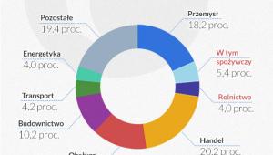 Udział branży rolno-spożwczej (infografika: DG)
