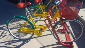 google fot. Sylwia Czubkowska